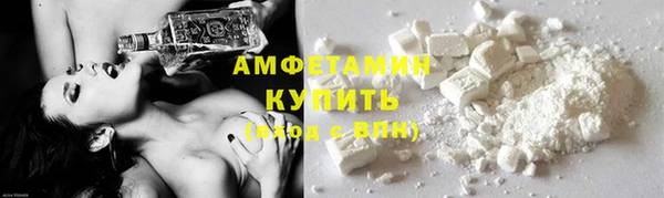 молекула духа Арсеньев