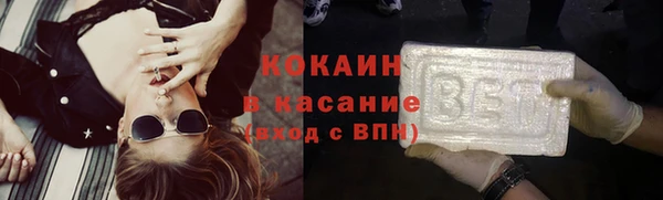 молекула духа Арсеньев