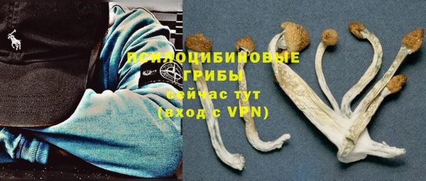 молекула духа Арсеньев