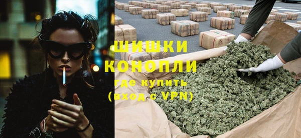 молекула духа Арсеньев