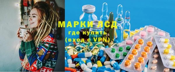 молекула духа Арсеньев