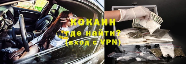 молекула духа Арсеньев