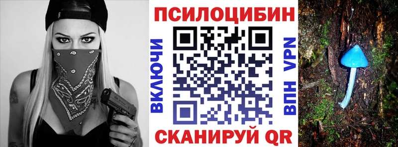 Галлюциногенные грибы Psilocybine cubensis  Купить где  Пенза 